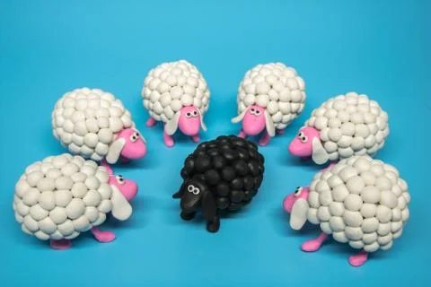 Black Sheep Surrounded Stock Photos
