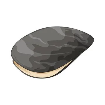 Black shell illustration Stock Illustration