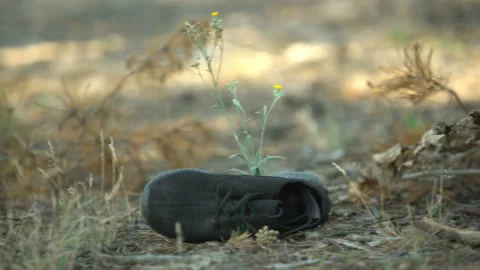 Black shoe lying on forest grass near corpse, contract killing, murderer victim 库存影片 98594355
