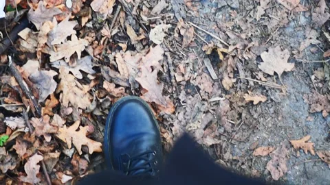 Black shoes walking on steps in the woods Stock Footage 221372353