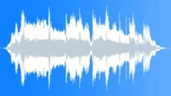 Black Shore Reverse Logo Stock Music