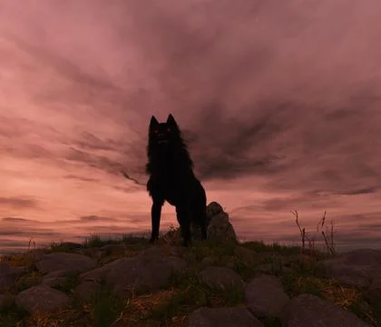 Black Shuck Illustrazione stock