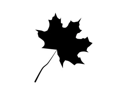 Black silhouette of an autumn maple leaf on white background Stock Illustration