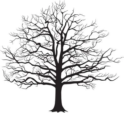 Black silhouette bare tree . Vector illustration Illustration