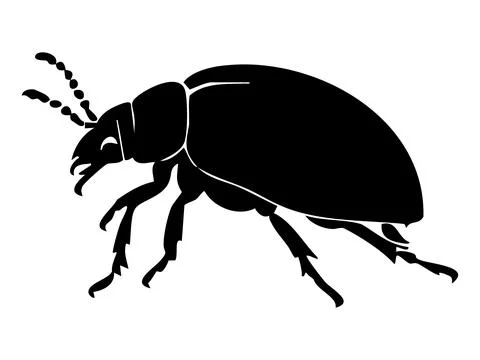 Black silhouette of beetle in side view isolated on white background, graphic Stock Illustration