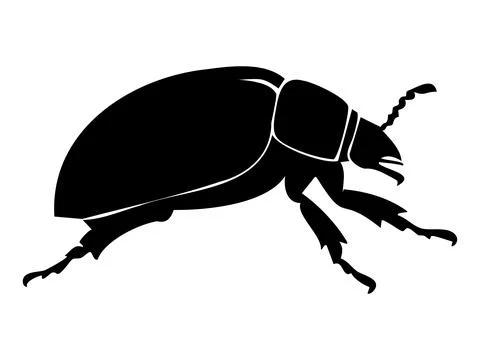 Black silhouette of beetle in side view, isolated on white background, graphi Stock Illustration