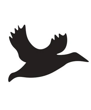 A black silhouette of a bird in flight facing right. Stock-Illustration