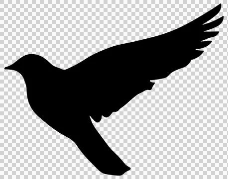 Black-silhouette-of-a-bird-without-background Stock Illustration