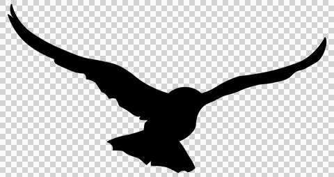 Black-silhouette-of-a-bird-without-background1 Stock Illustration