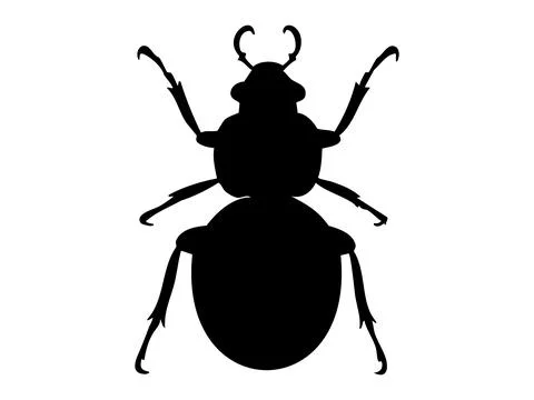 Black silhouette of bug in crawling pose isolated on white background, graphic Stock Illustration