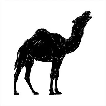 A black silhouette of a camel standing vector Stock Illustration
