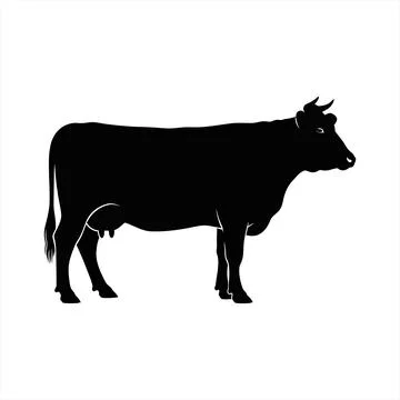 Black silhouette of a cow standing vector Stock Illustration
