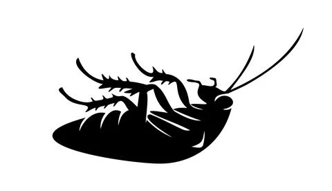 Black silhouette of dead cockroach lying on its back on white backdrop. Vecto Illustrazione stock