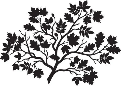 Black Silhouette of a Deciduous Tree Stock Illustration