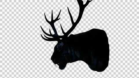 Black silhouette of a deer head with large antlers Stock Illustration