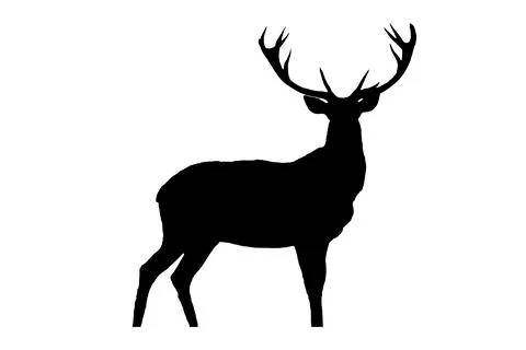Black silhouette of deer Stock Illustration