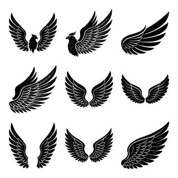 Black silhouette eagle with outstretched wings and various wing msea set bi.. Stock Illustration