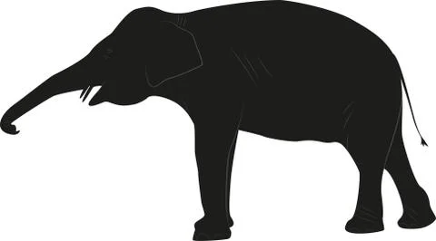 Black silhouette of an elephant on a white background, resizable. Stock Illustration