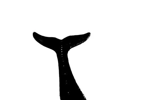 Black silhouette of fish tail isolate on white background Stock Illustration