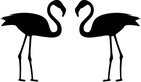 Black silhouette of a flamingo bird. Two flamingo birds. Stock Illustration