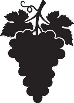 Black Silhouette of Grape Bunch with Leaves and Vine 스톡 일러스트