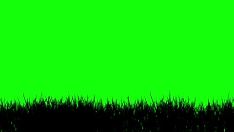 Black silhouette grass swaying in the wind on green background. Stock Footage 336797267