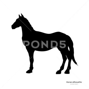 Black silhouette of horse. Isolated detailed drawing of mustang Stock Illustration