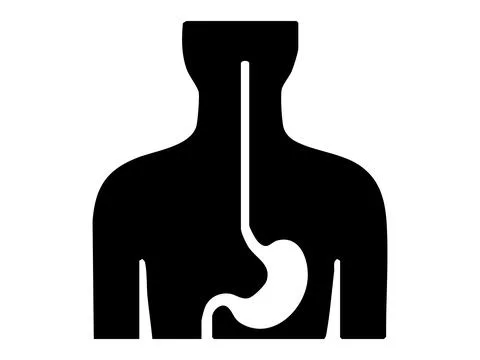 Black silhouette of human torso with digestive system esophagus and stomach Stock Illustration