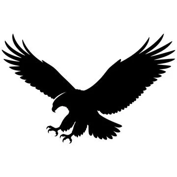 Black Silhouette of a Hunting Eagle Flying in a Dynamic Aerial View Concept Stock Illustration
