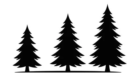 Black Silhouette Illustration of Three Pine Trees in a Row Stock Illustration