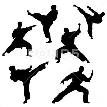 Black silhouette of karate on a white background Stock Illustration