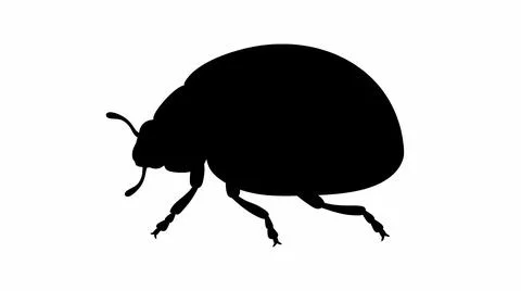 Black Silhouette of a Ladybug Beetle Stock Illustration