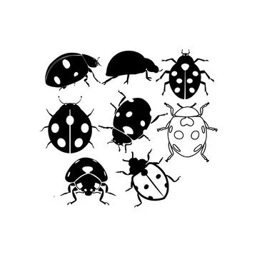 Black Silhouette Ladybug Collection. Vector icon. Stock Illustration