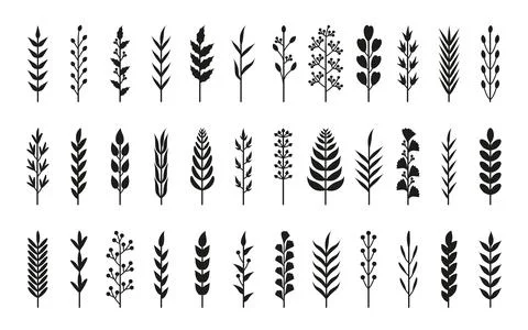 Black silhouette laurel branches leaf vector set Stock Illustration