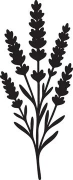 Black Silhouette of Lavender Sprigs Stock Illustration