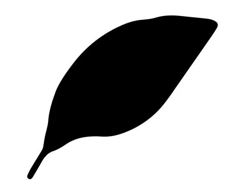 Black silhouette of a leaf on white background for nature illustration, flora Stock Illustration