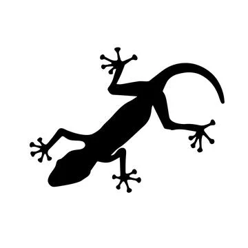 Black silhouette of lizard on white background. Vector Illustration Stock Illustration