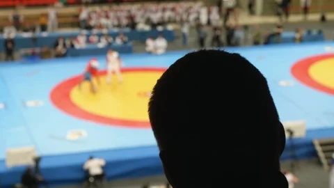 Black silhouette of man's head in back light. Fan watches duelling on sambo Stock Footage 110783279