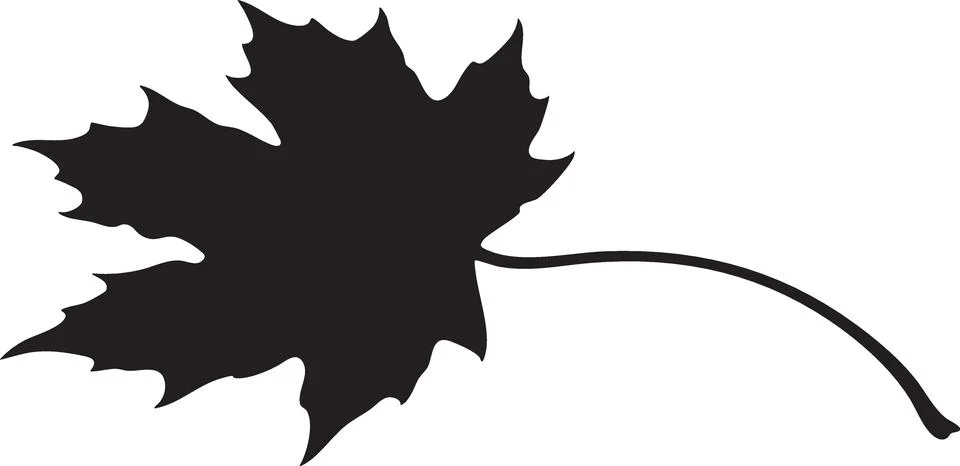 Black Silhouette of a Maple Leaf Stock Illustration