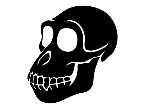 Black silhouette of a monkey skull with large eye sockets and visible teeth Stock Illustration