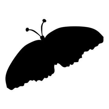 Black silhouette of a moth on a white background Stock Illustration