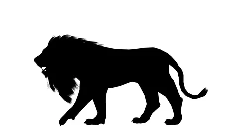 Black silhouette of a moving lion. Alpha channel. Alpha matte. FullHD. Stock Footage