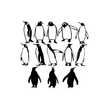 Black Silhouette Penguin Collection. Vector icon. Stock Illustration