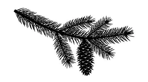 Black Silhouette of a Pine Branch with a Cone on a White Background イラスト素材