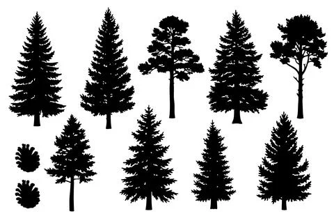 Black silhouette pine tree collection. Vector illustration. Stock Illustration
