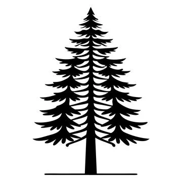 Black silhouette of a pine tree on white background tree silhouette black. Stock Illustration