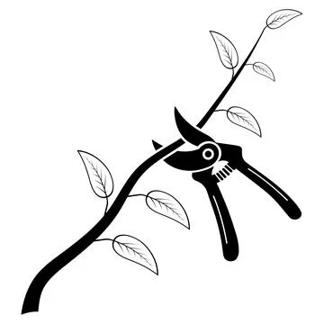 Black silhouette pruning shears cutting leafy branch gardening maintenance Ilustração Stock