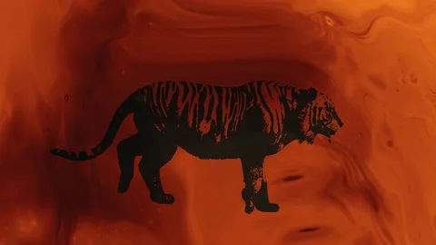 Black silhouette of a running tiger. Red moving fluid. Abstract animation Stock Footage 129640668