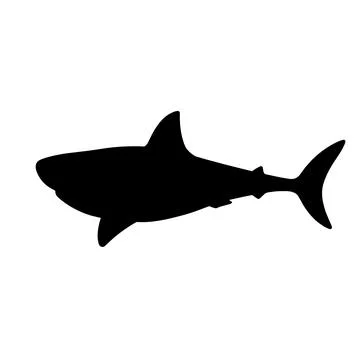 Black Silhouette Of A Shark On White Background Stock Illustration