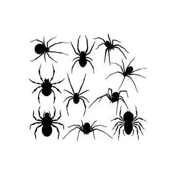 Black Silhouette Spider Collection. Vector icon. Stock Illustration